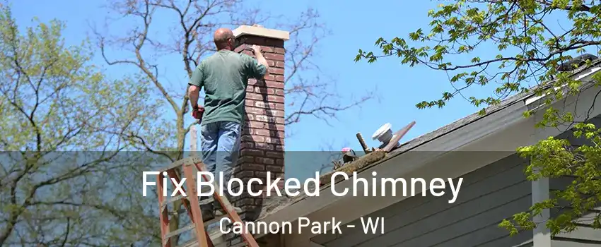 Fix Blocked Chimney Cannon Park - WI