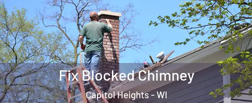 Fix Blocked Chimney Capitol Heights - WI