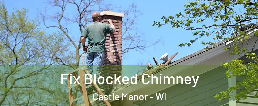 Fix Blocked Chimney Castle Manor - WI