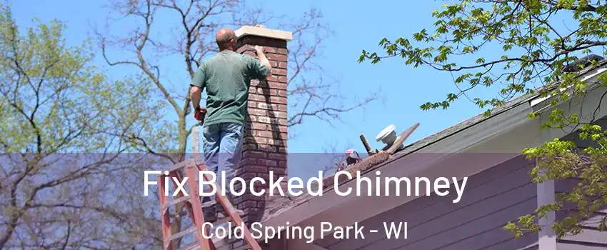 Fix Blocked Chimney Cold Spring Park - WI