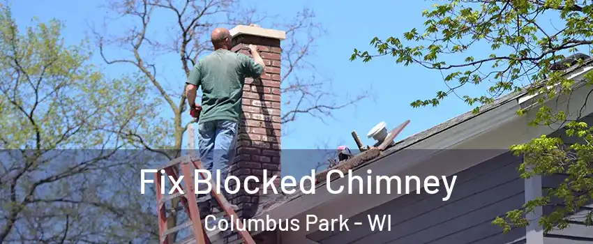 Fix Blocked Chimney Columbus Park - WI