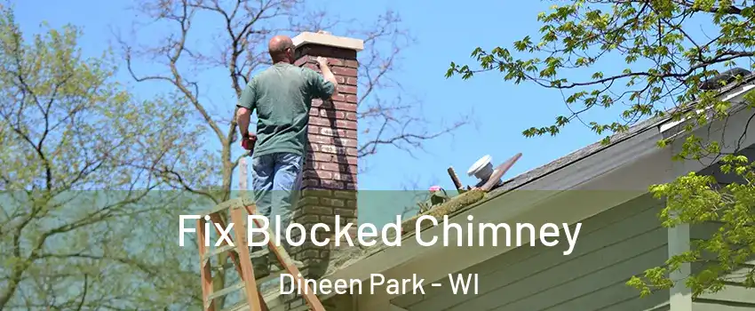 Fix Blocked Chimney Dineen Park - WI