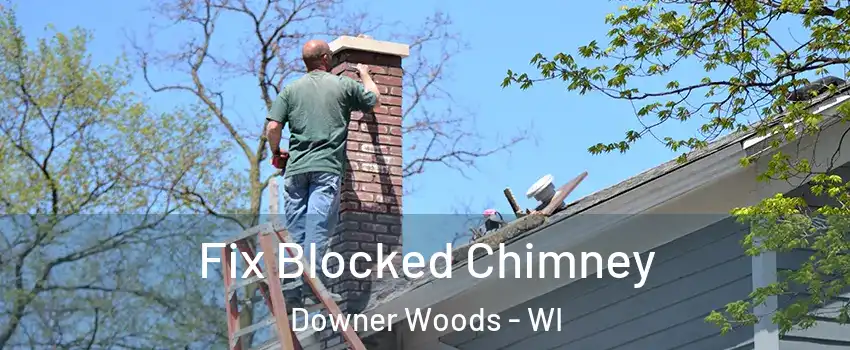 Fix Blocked Chimney Downer Woods - WI