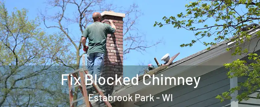 Fix Blocked Chimney Estabrook Park - WI