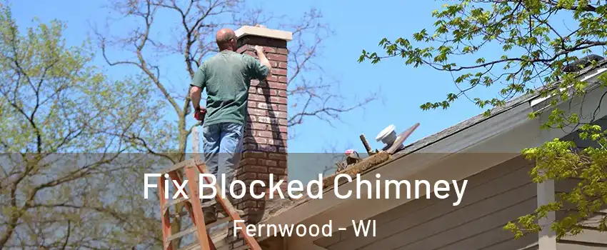 Fix Blocked Chimney Fernwood - WI