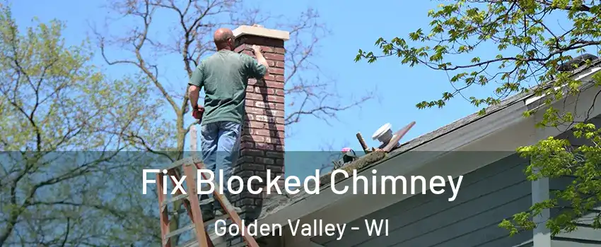 Fix Blocked Chimney Golden Valley - WI