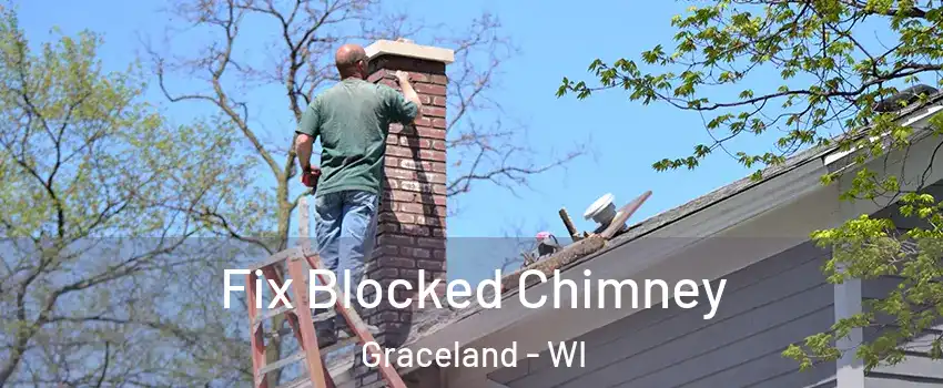 Fix Blocked Chimney Graceland - WI