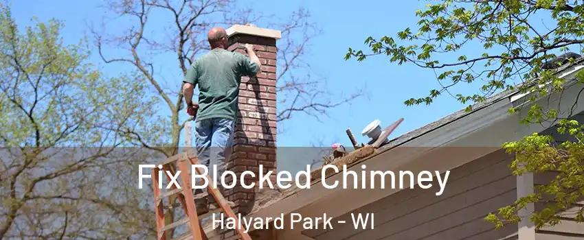 Fix Blocked Chimney Halyard Park - WI