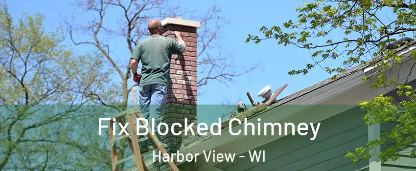 Fix Blocked Chimney Harbor View - WI