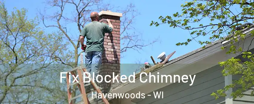 Fix Blocked Chimney Havenwoods - WI