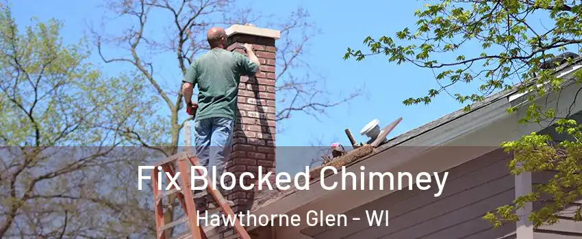 Fix Blocked Chimney Hawthorne Glen - WI