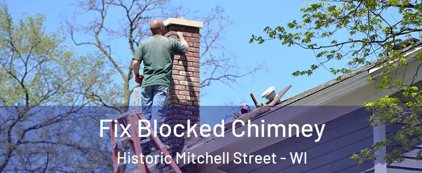 Fix Blocked Chimney Historic Mitchell Street - WI