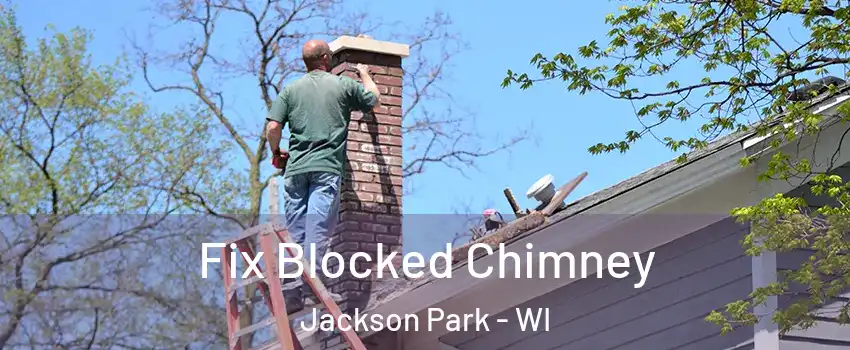 Fix Blocked Chimney Jackson Park - WI