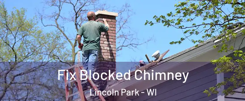 Fix Blocked Chimney Lincoln Park - WI