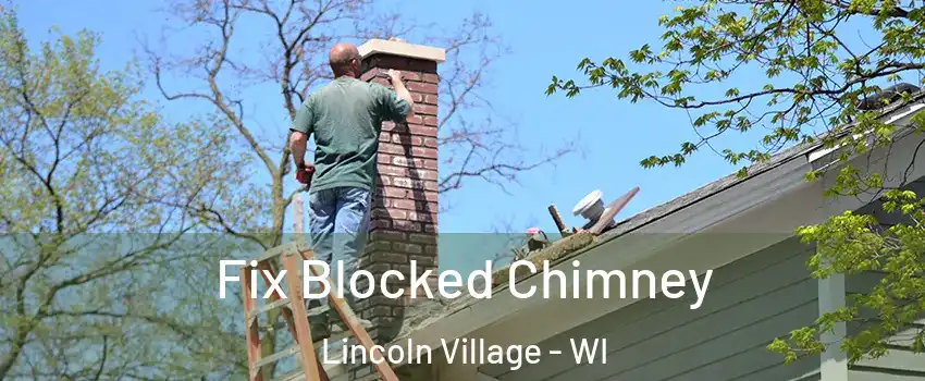 Fix Blocked Chimney Lincoln Village - WI