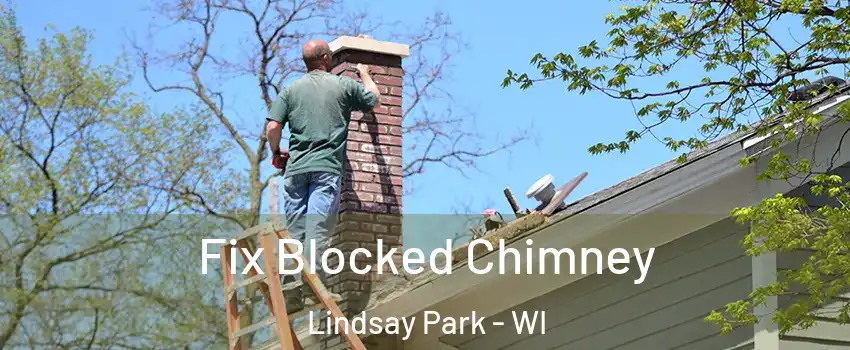 Fix Blocked Chimney Lindsay Park - WI