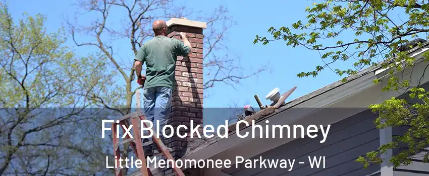 Fix Blocked Chimney Little Menomonee Parkway - WI