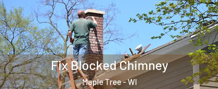 Fix Blocked Chimney Maple Tree - WI