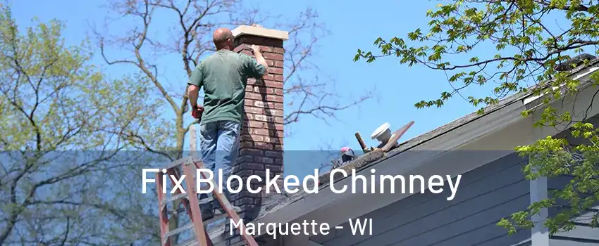 Fix Blocked Chimney Marquette - WI