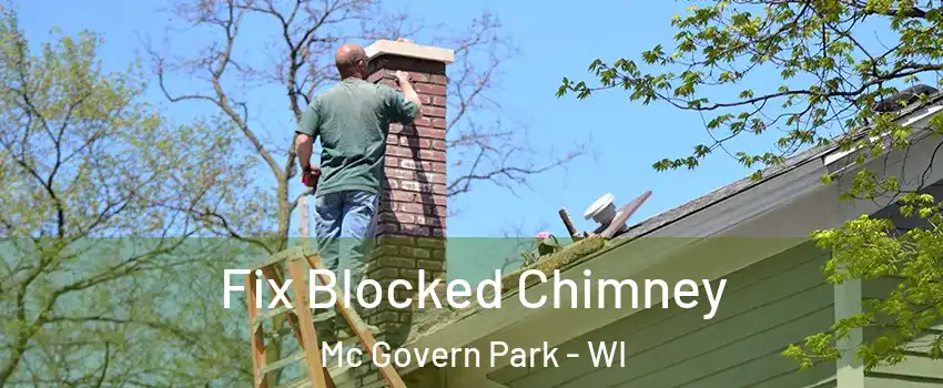 Fix Blocked Chimney Mc Govern Park - WI