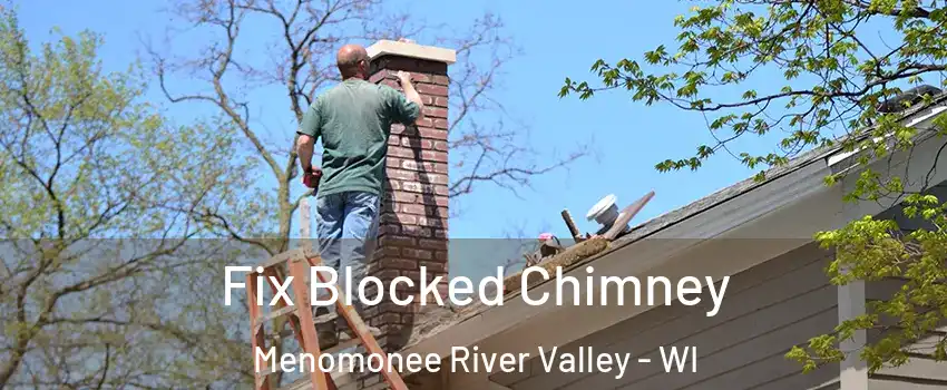 Fix Blocked Chimney Menomonee River Valley - WI