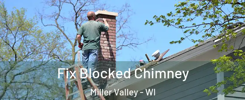 Fix Blocked Chimney Miller Valley - WI