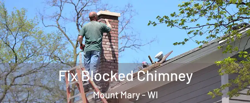 Fix Blocked Chimney Mount Mary - WI