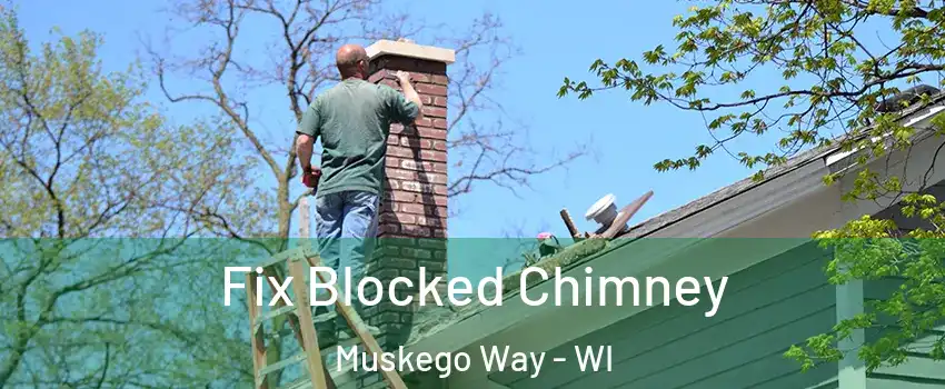 Fix Blocked Chimney Muskego Way - WI