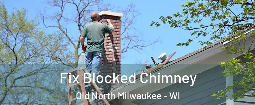 Fix Blocked Chimney Old North Milwaukee - WI