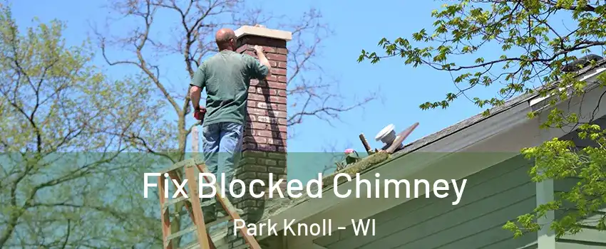 Fix Blocked Chimney Park Knoll - WI