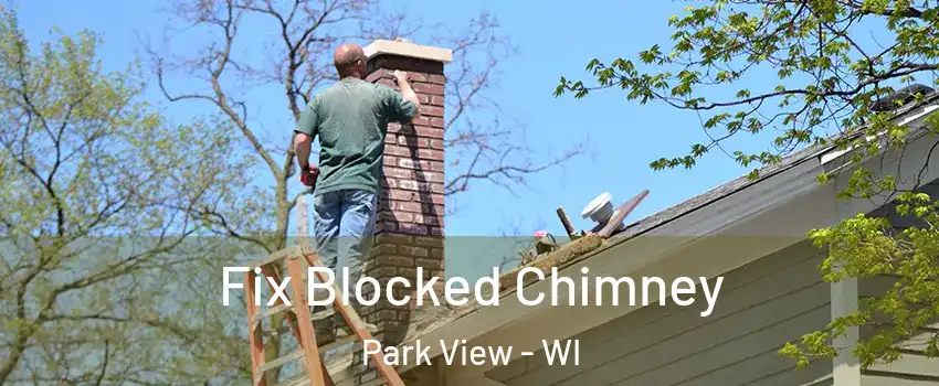 Fix Blocked Chimney Park View - WI