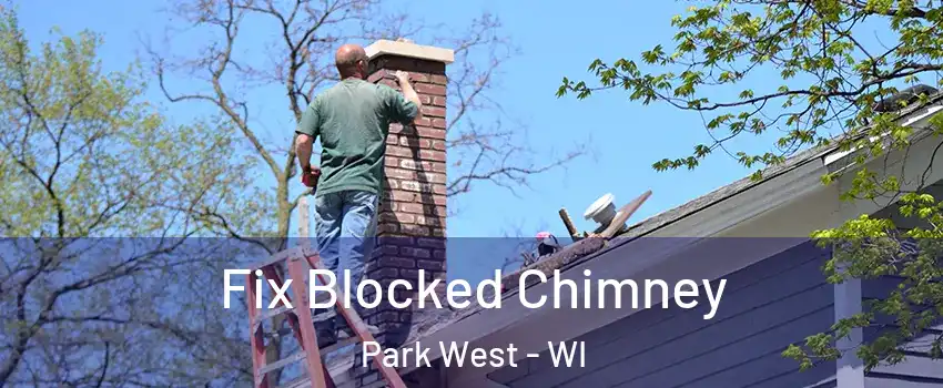 Fix Blocked Chimney Park West - WI