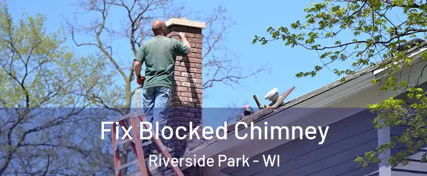 Fix Blocked Chimney Riverside Park - WI