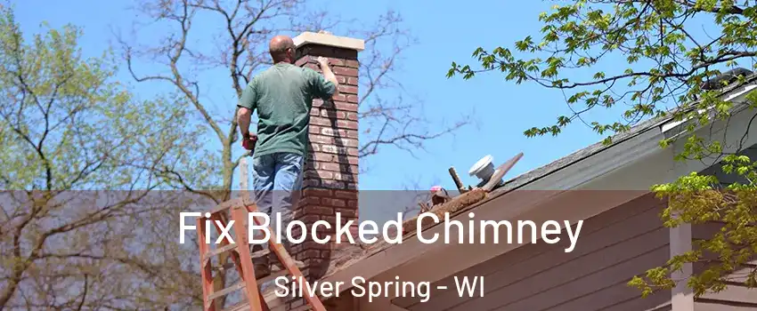 Fix Blocked Chimney Silver Spring - WI