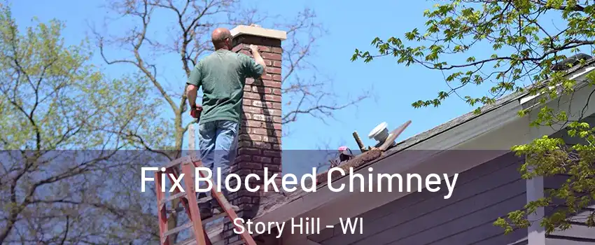 Fix Blocked Chimney Story Hill - WI