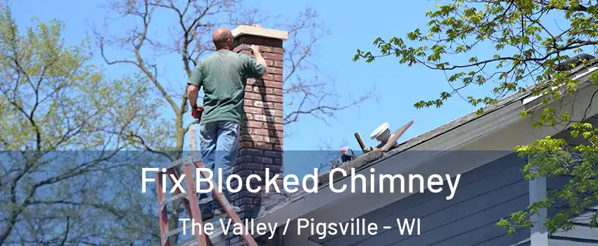 Fix Blocked Chimney The Valley / Pigsville - WI