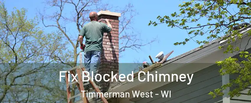 Fix Blocked Chimney Timmerman West - WI