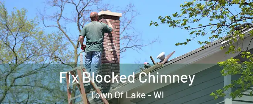 Fix Blocked Chimney Town Of Lake - WI