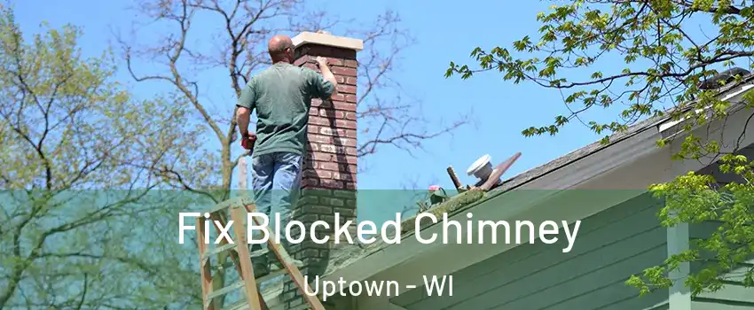 Fix Blocked Chimney Uptown - WI