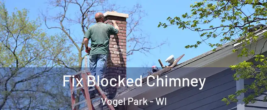 Fix Blocked Chimney Vogel Park - WI