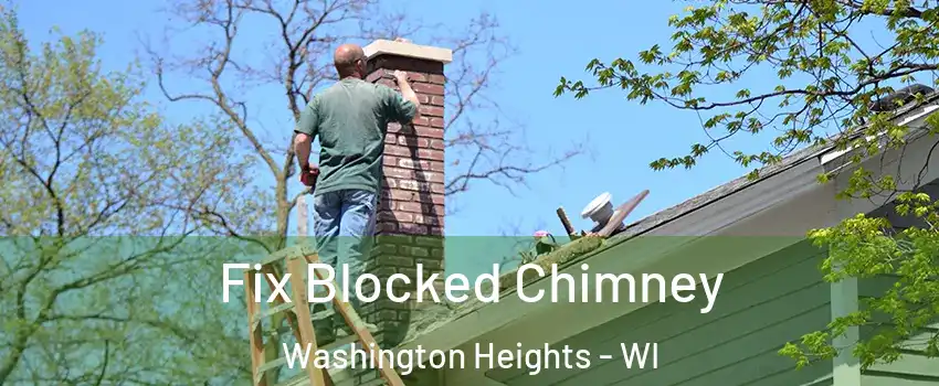 Fix Blocked Chimney Washington Heights - WI