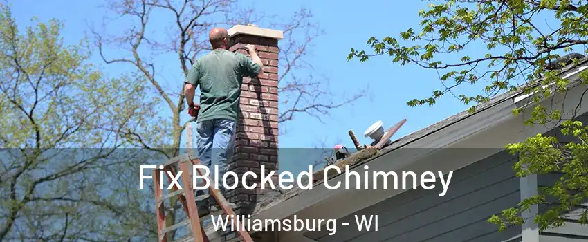 Fix Blocked Chimney Williamsburg - WI