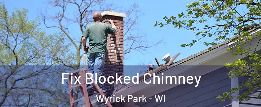 Fix Blocked Chimney Wyrick Park - WI