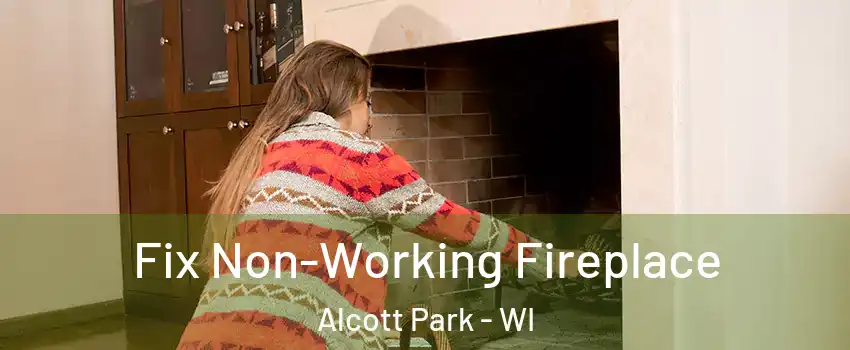 Fix Non-Working Fireplace Alcott Park - WI