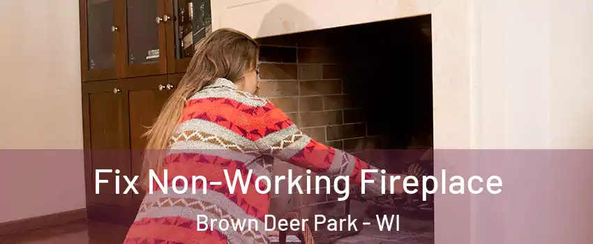 Fix Non-Working Fireplace Brown Deer Park - WI