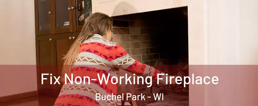 Fix Non-Working Fireplace Buchel Park - WI