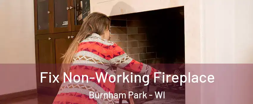 Fix Non-Working Fireplace Burnham Park - WI