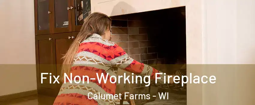 Fix Non-Working Fireplace Calumet Farms - WI