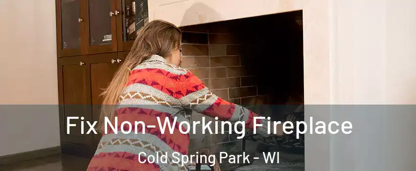 Fix Non-Working Fireplace Cold Spring Park - WI