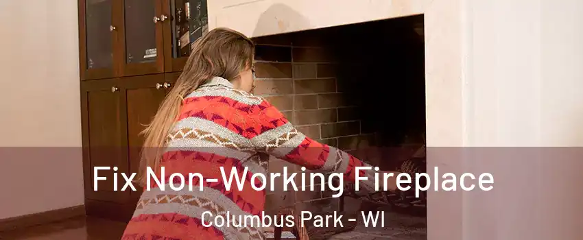 Fix Non-Working Fireplace Columbus Park - WI